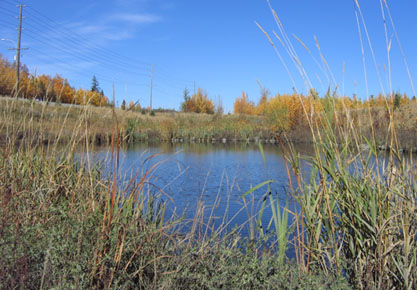 Restoration & Historic Site Preservation